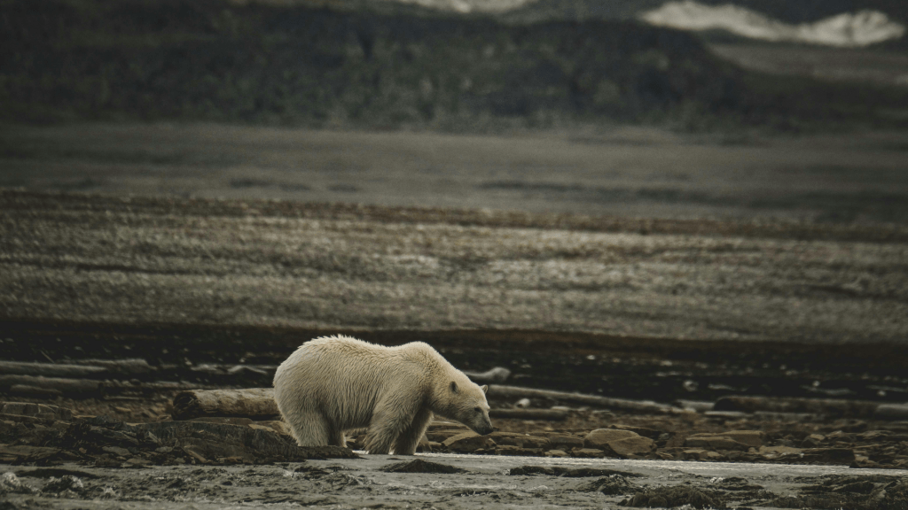Elever protesterar mot undervisning om hållbarhet med humor