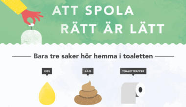 Världstoalettdagen den 19 november