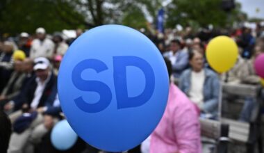 Efter avslöjande om nazistföremål – SD-politiker avgår