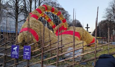 Gävlebocken fraktas bort i förtid
