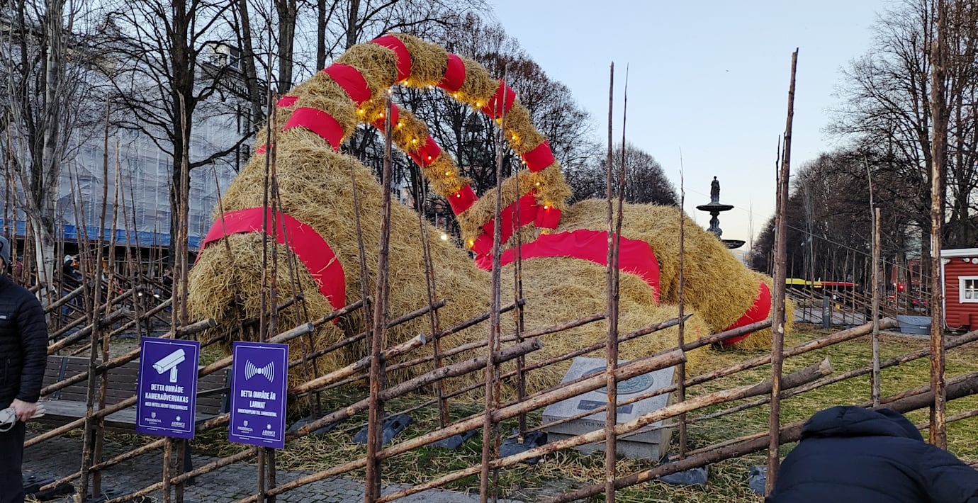 Gävlebocken fraktas bort i förtid