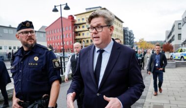 FN-kommitté dömer ut svenska visitationszoner