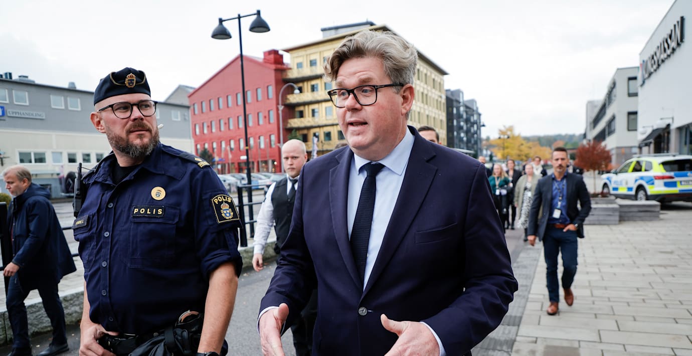 FN-kommitté dömer ut svenska visitationszoner