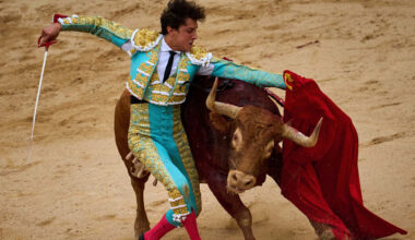 ”Mer stötande än någon splatteraktig skräckfilmsscen i år”