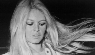 Bardots kontroversiella åsikter delar fransk politik