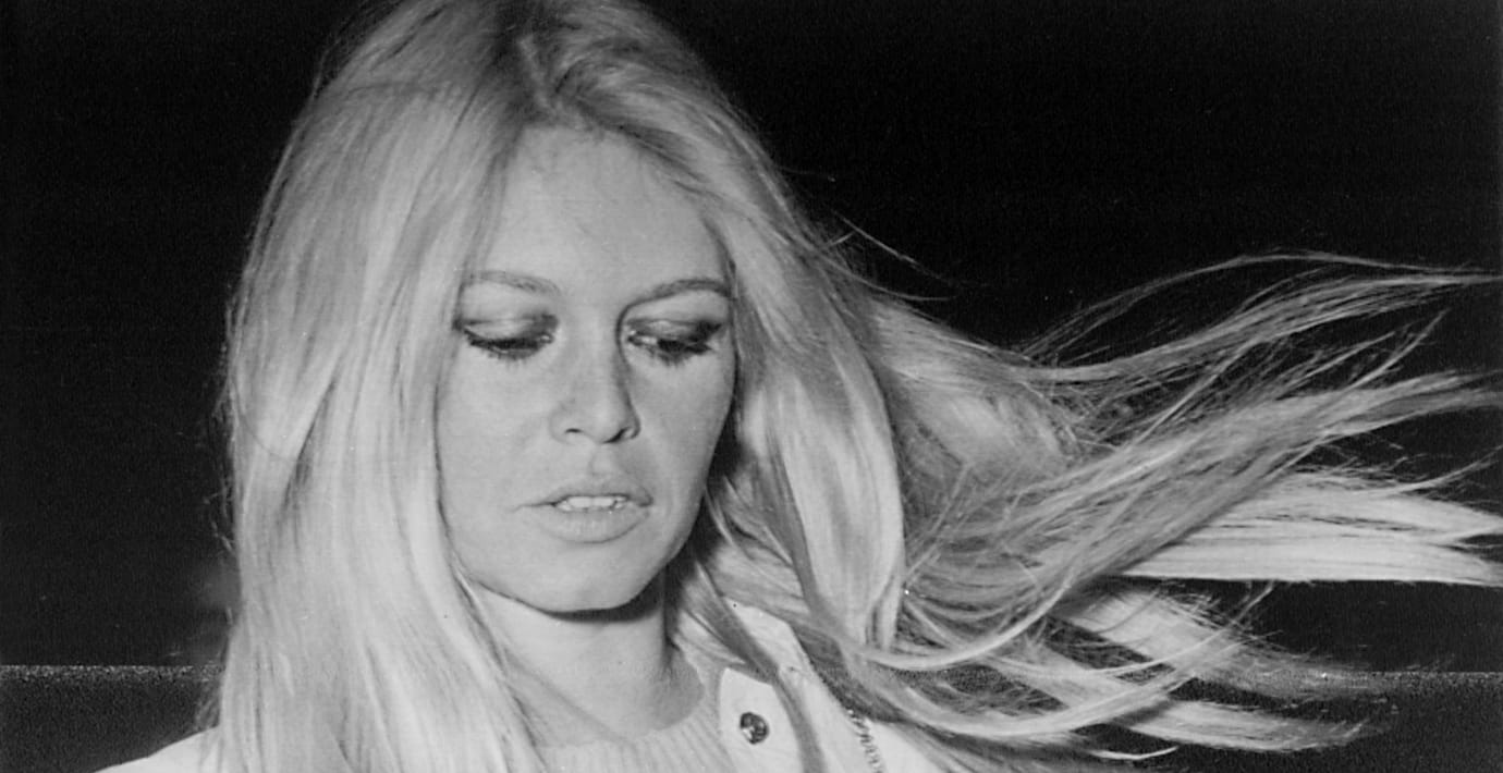 Bardots kontroversiella åsikter delar fransk politik