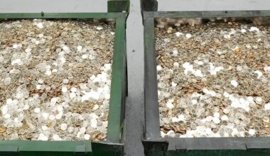 Ädelmetallen som rusat mer än guld