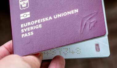 Vi måste skydda Sverige – nu är det upp till bevis