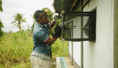 Ko-urin kan utrota malaria i Etiopien