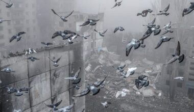 Ryska vapentillverkare ökar intäkter – trots sanktioner