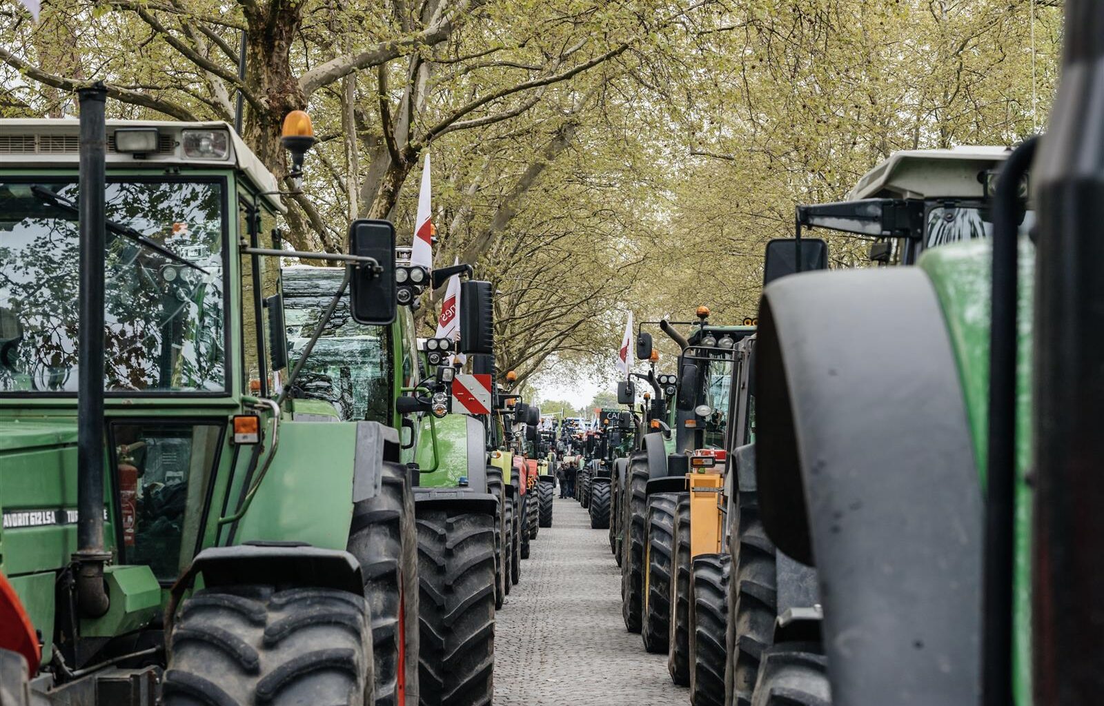 LRF deltar i protesterna – Varför just nu?