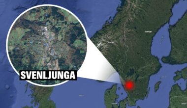 Hund fick avlivas efter vargattack i Svenljunga