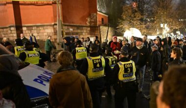 Alternativ för Sverige i
fackeltåg i Stockholm