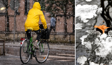 Dystra beskedet om snön: ”Regn långt norrut”