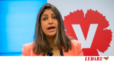 Vänsterpartiets idéer om hemtjänsten är inte seriösa