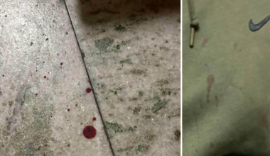 Kändisprofil frikänns från misshandel | Nöje