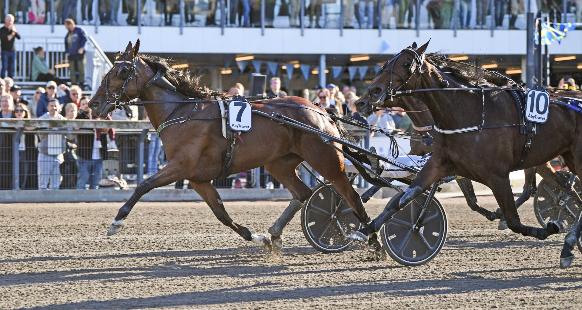 Testat positivt efter
skrällen i storloppet | Trav