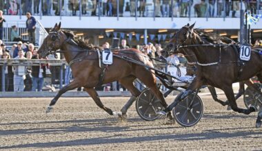 Testat positivt efter
skrällen i storloppet | Trav