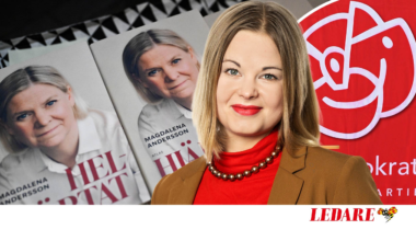 Magdalena Anderssons bok Helhjärtat ger inga svar