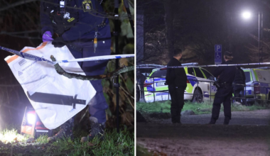 Ung man fick handen avhuggen i södra Stockholm