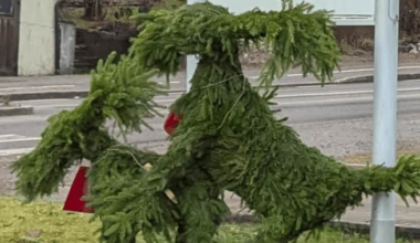 Julbock blev ”kåtbock” i kommunen: ”Skrattade”