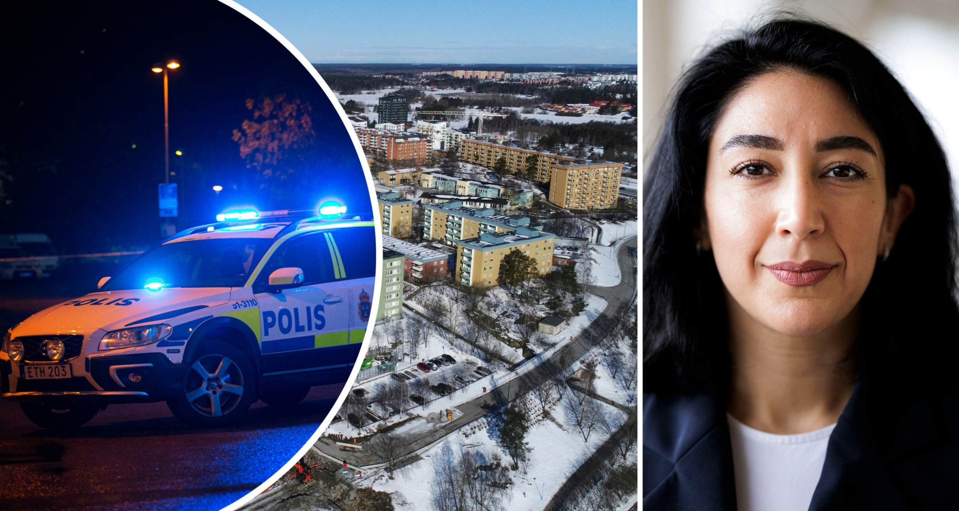 ”Få ordning på Sverige” – vad hände med det?