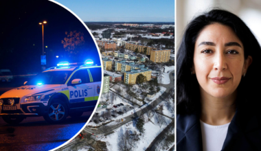 ”Få ordning på Sverige” – vad hände med det?
