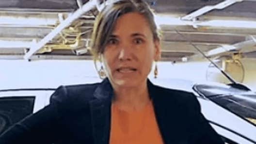 Affärskvinna misstänks ha giftmördat flickor