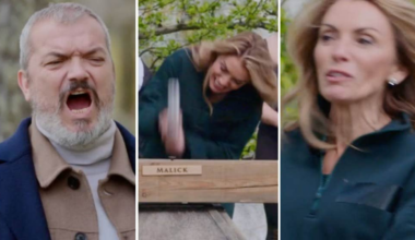 Dragomir Mrsics utbrott mot Alexandra Pascalidou i Förrädarna