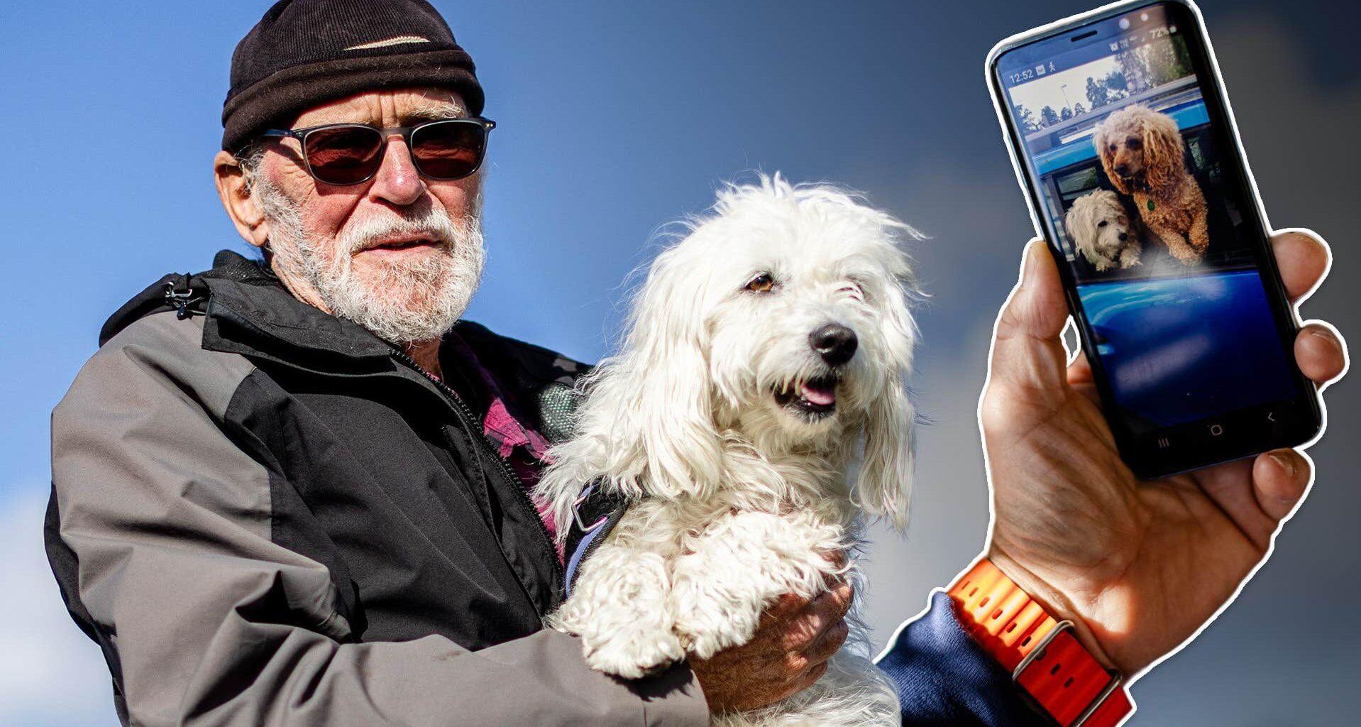 Pudeln Doglaz dog efter mötet med Försvarsmaktens tränare