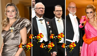 Betyg på klänningar och frackar