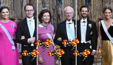 De är bäst klädda på kungens Nobelmiddag