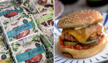 Förslaget om vegoburgare stoppas tillfälligt