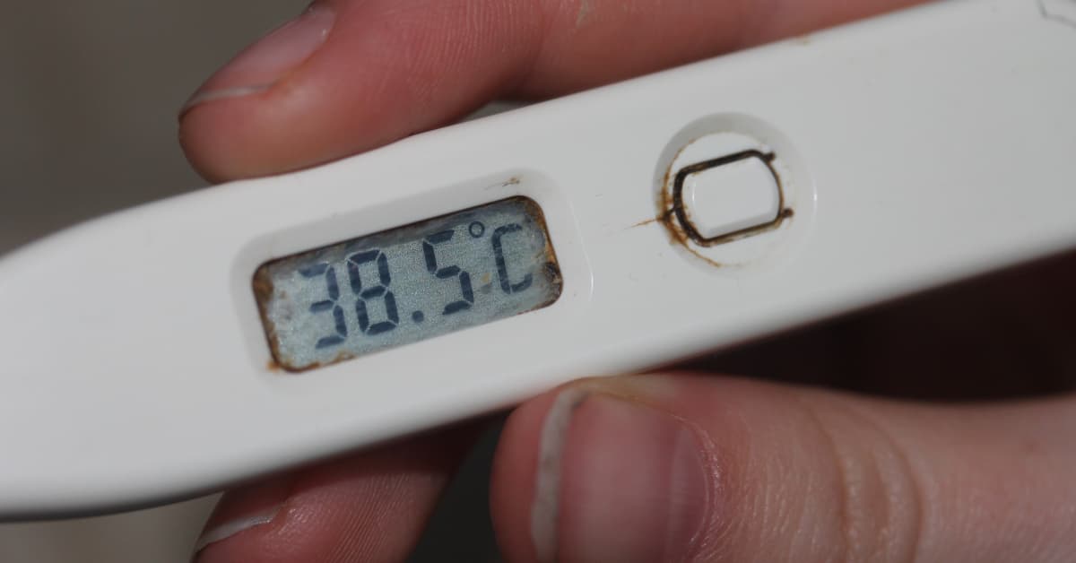 Ett fall av tuberkulos bekräftat i Sibbo - liten risk att bli smittad | Östnyland