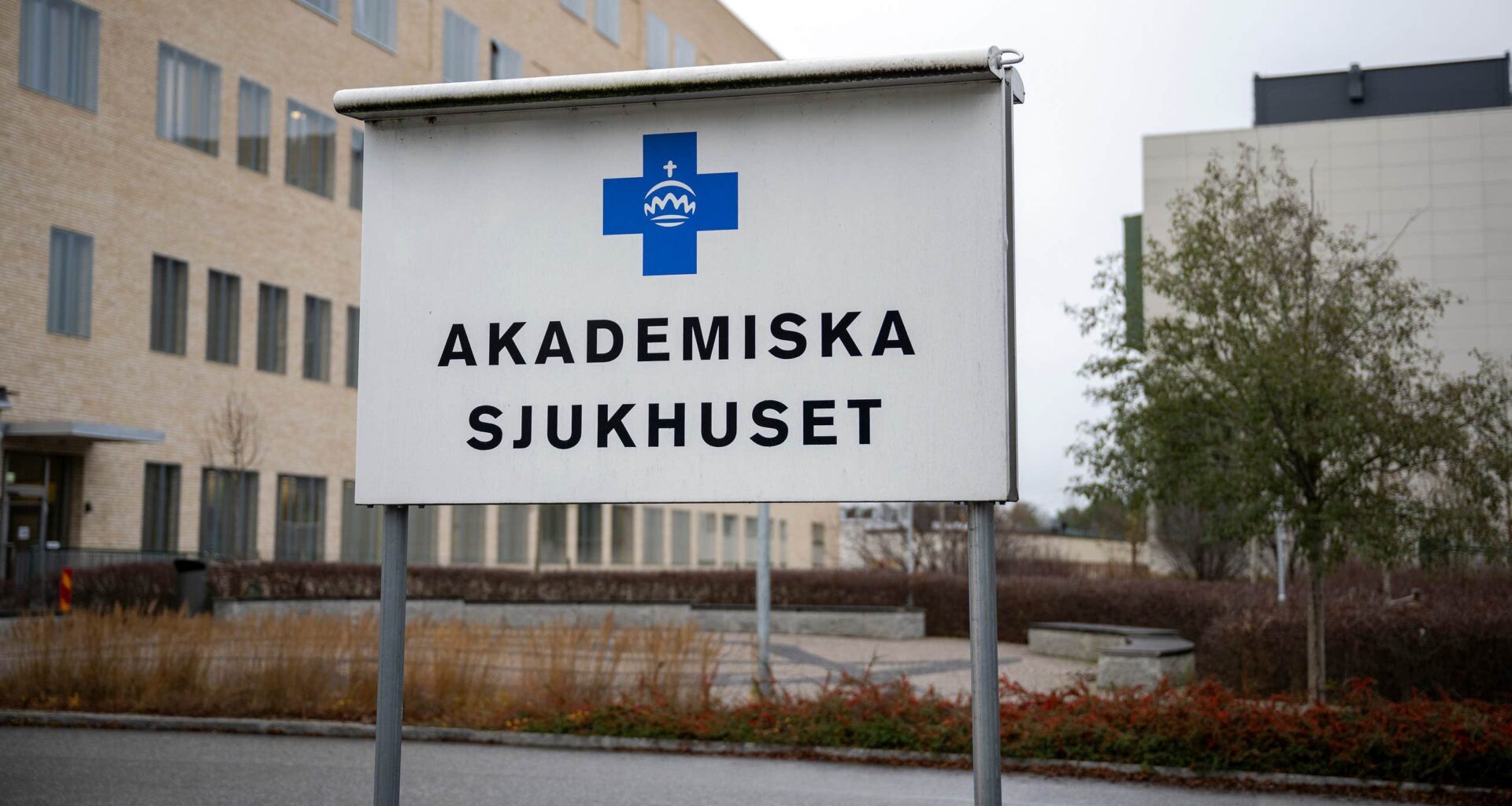 Sjukhuskvinnans
ord – om mediciner