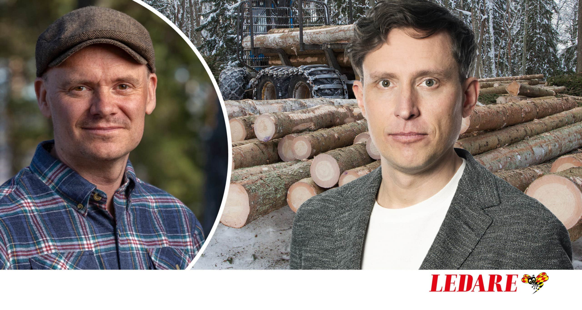 Aktivisternas drag tvingar
Martin att sälja sin skog