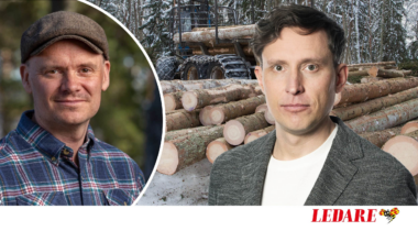 Aktivisternas drag tvingar
Martin att sälja sin skog