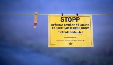 Fler vilda fåglar visar tecken på fågelinfluensa i södra Sverige