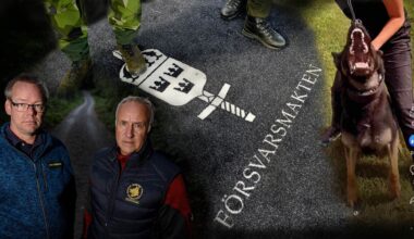 Starka reaktioner efter granskning om hundplågarna: ”För jävligt”