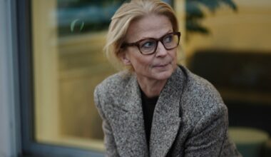 Svantessons budgetkritik mot Socialdemokraterna: Ljuger