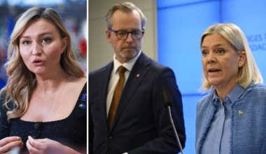 S krav på Busch om elpriserna: Stoppa EU:s stöld