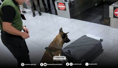 Svensk i 70-årsåldern
död i filippinskt häkte | Världen