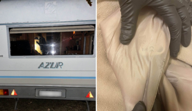 Elva barn hölls isolerade i månader i Dalsland