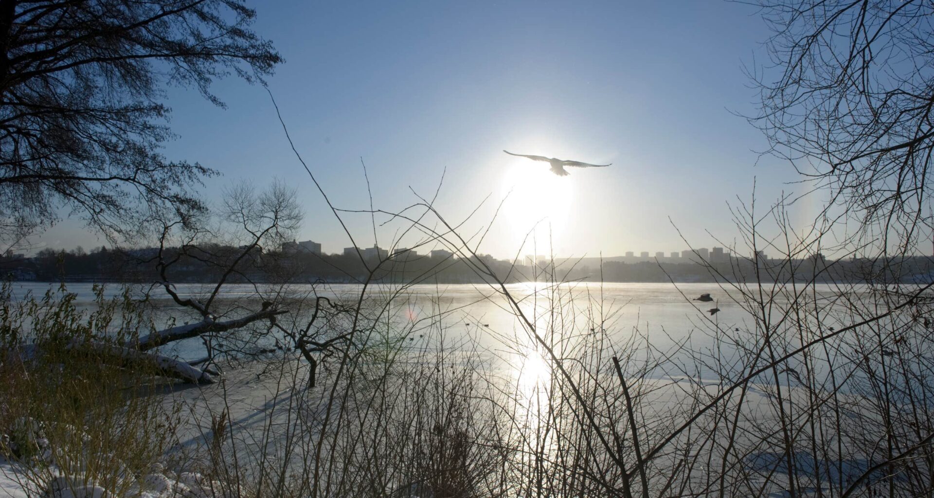 Sol på väg – nu vänder ovanligt mörk december