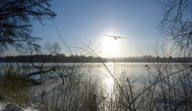 Sol på väg – nu vänder ovanligt mörk december