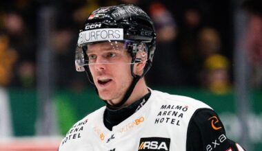 Malmö lånar in Carl-Johan Lerby | SHL