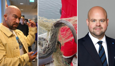 Jan Emanuel Johansson kritiserar Peter Kullgren om ålfisket