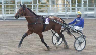 Fame And Glory är sjuk – missar storloppet i Frankrike | Trav