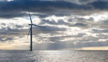 Luke: Havs­vindkraftens miljöpåverkan i Bottniska viken bör utredas bättre | Österbotten