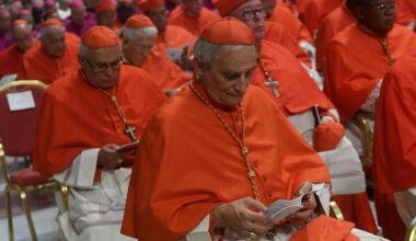 Påve Leo XIV sammankallar sitt första konsistorium